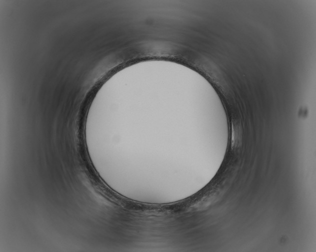 X0000091990627200710041130