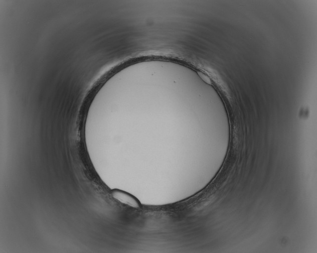 X0000091990628200710041130