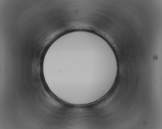 X0000091990629200710041130
