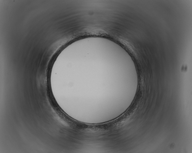 X0000091990630200710041130