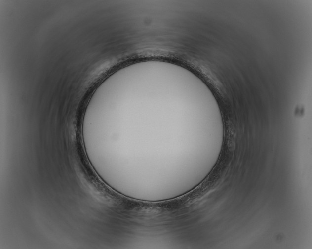 X0000091990631200710041130
