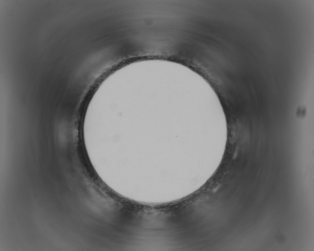 X0000091990632200710041131
