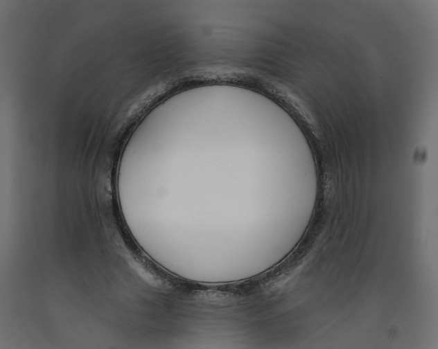 X0000091990633200710041131