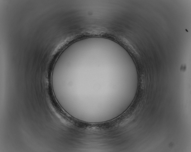 X0000091990634200710041131