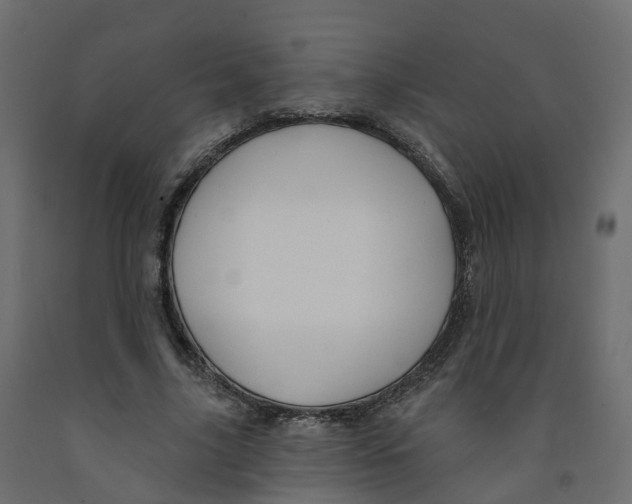 X0000091990635200710041131