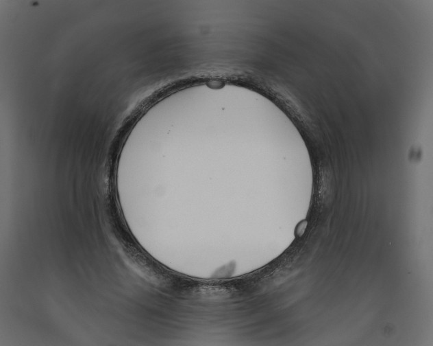 X0000091990636200710041131