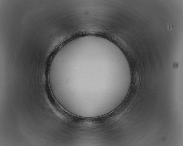X0000091990638200710041131
