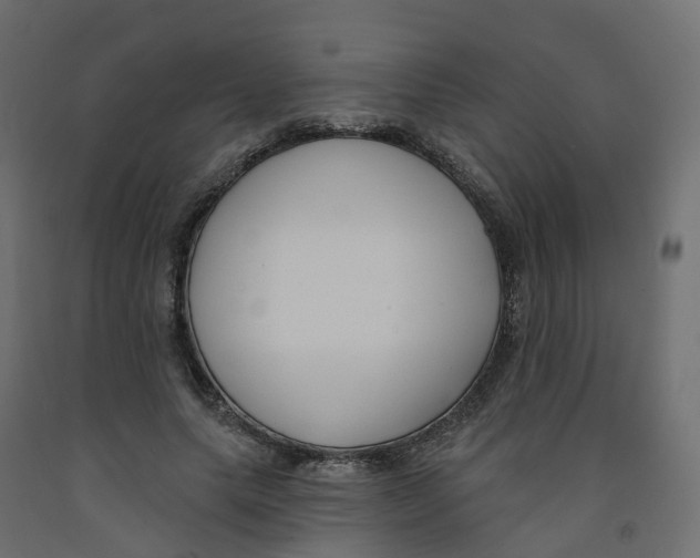 X0000091990639200710041131