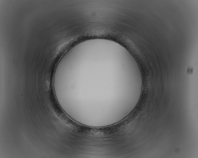 X0000091990640200710041131