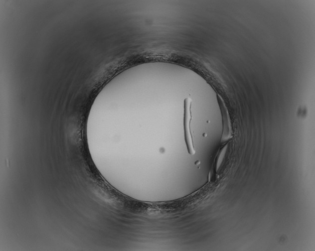 X0000091990641200710041131