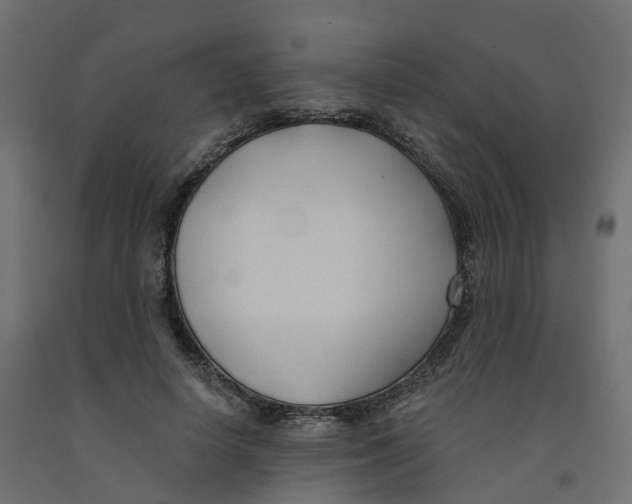 X0000091990642200710041131