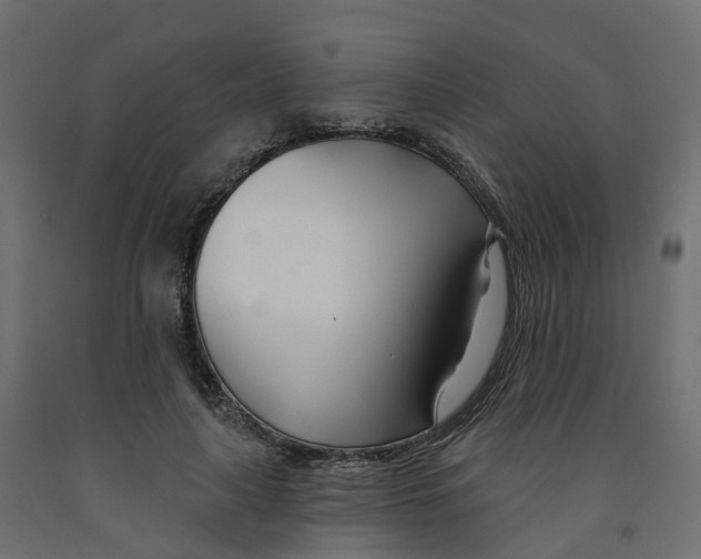 X0000091990643200710041131