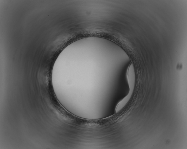 X0000091990644200710041131
