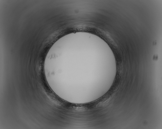X0000091990645200710041131