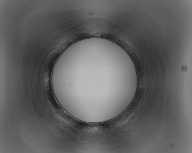 X0000091990646200710041131
