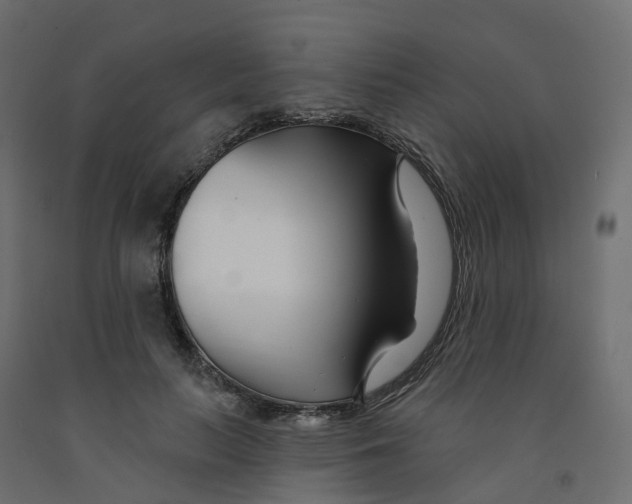 X0000091990647200710041131
