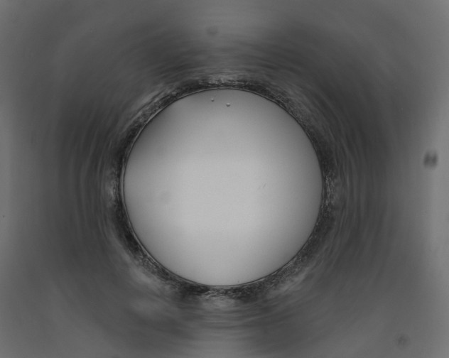 X0000091990648200710041131