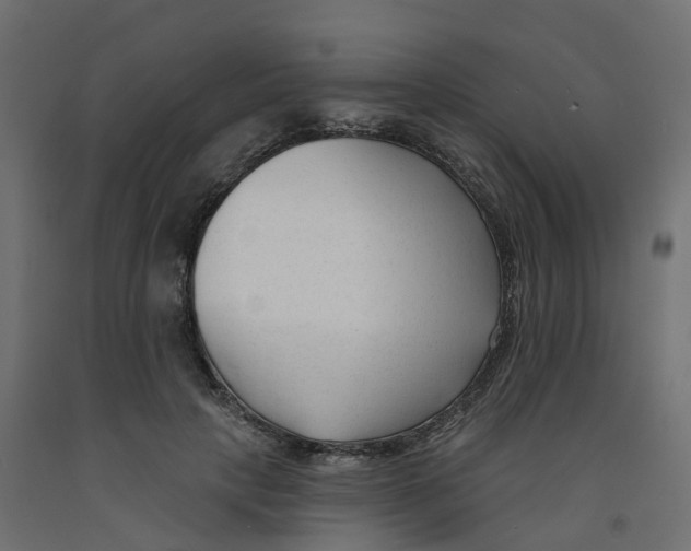 X0000091990649200710041131