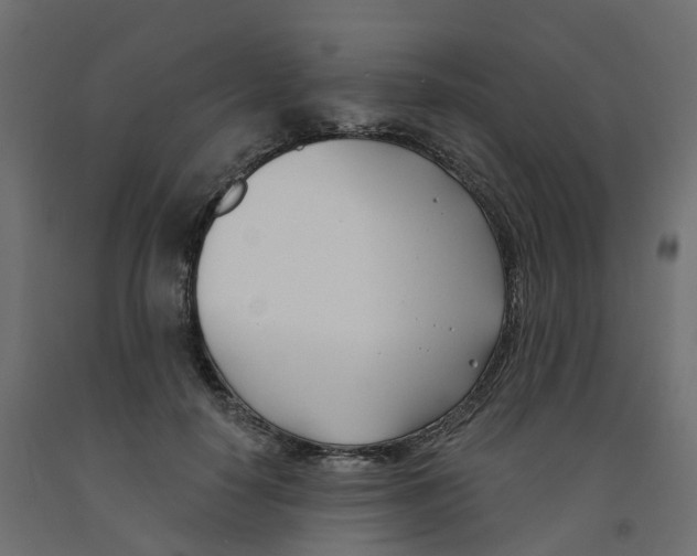 X0000091990650200710041131