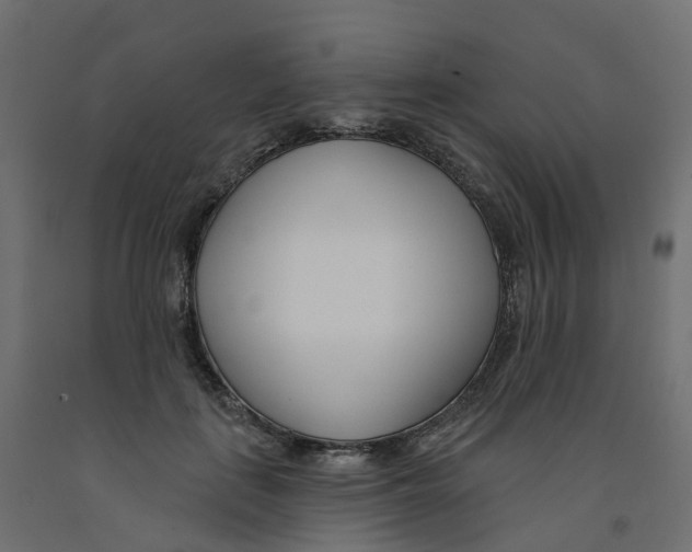 X0000091990651200710041131