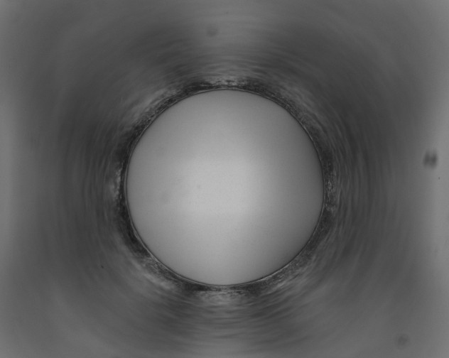 X0000091990652200710041131