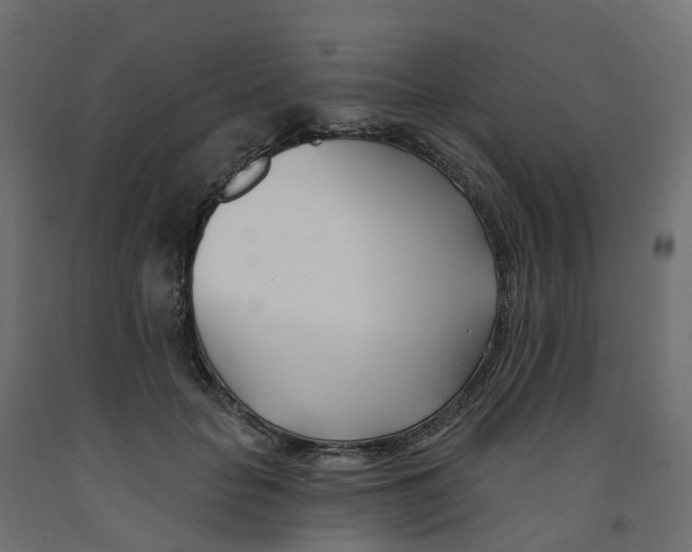 X0000091990653200710041131
