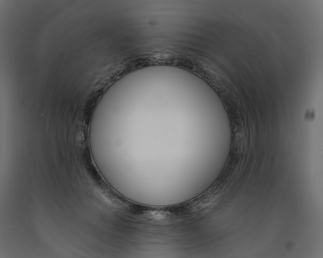 X0000091990654200710041131