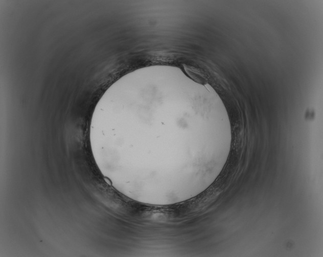 X0000091990655200710041131