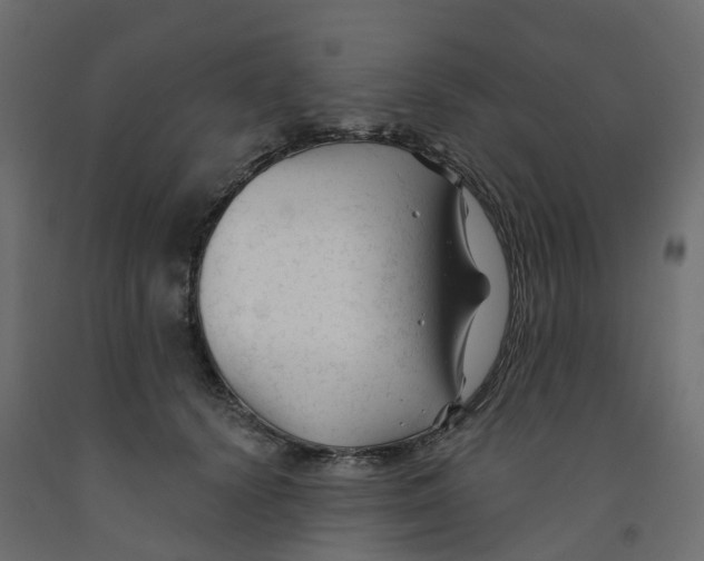X0000091990656200710041131