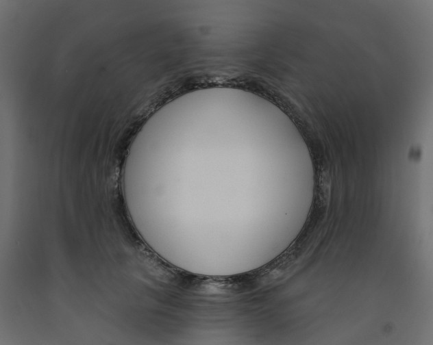X0000091990657200710041131