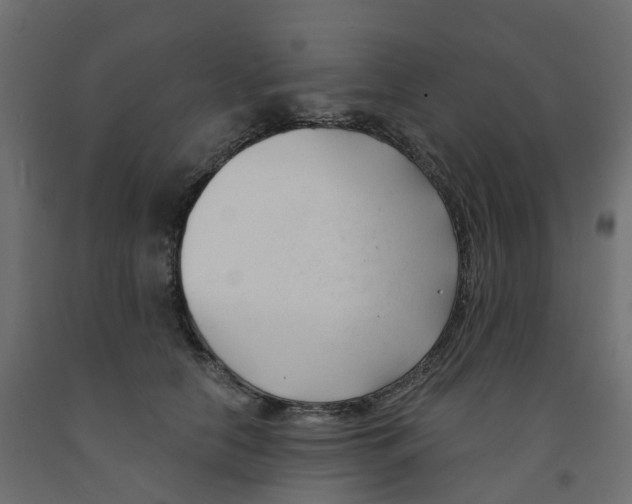 X0000091990658200710041131