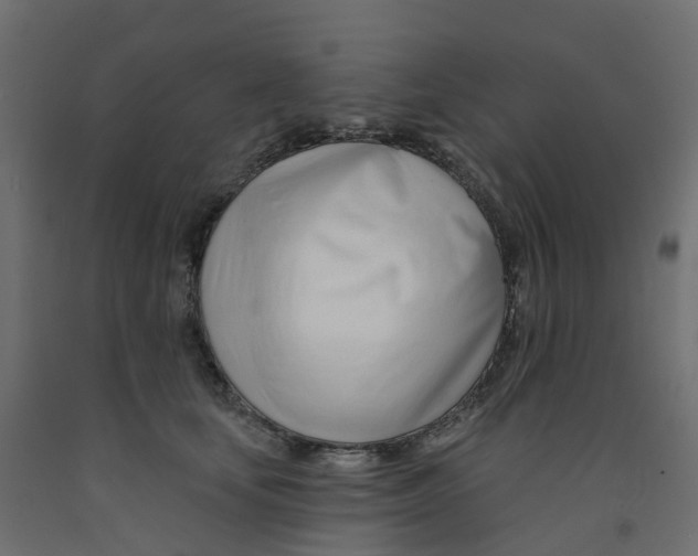 X0000091990659200710041131