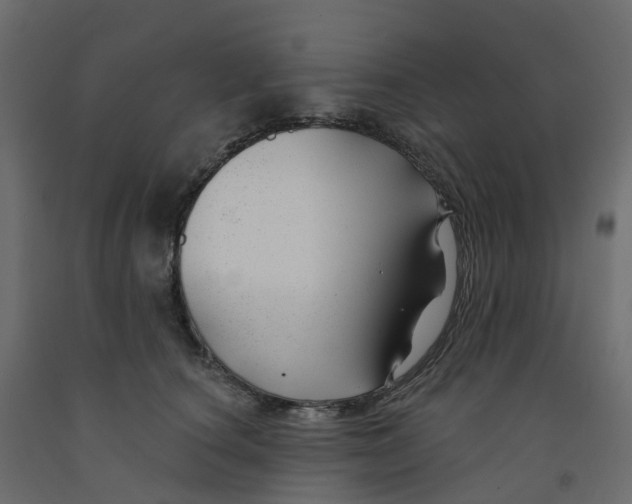 X0000091990660200710041131