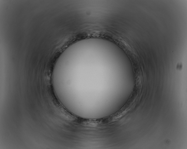 X0000091990661200710041131