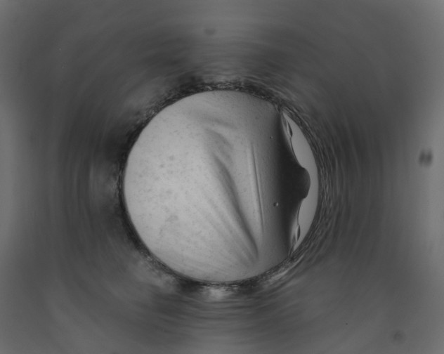 X0000091990662200710041131