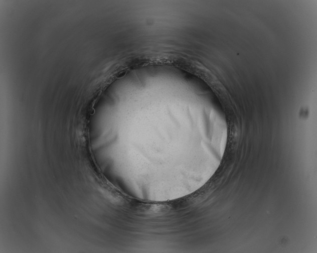 X0000091990663200710041131