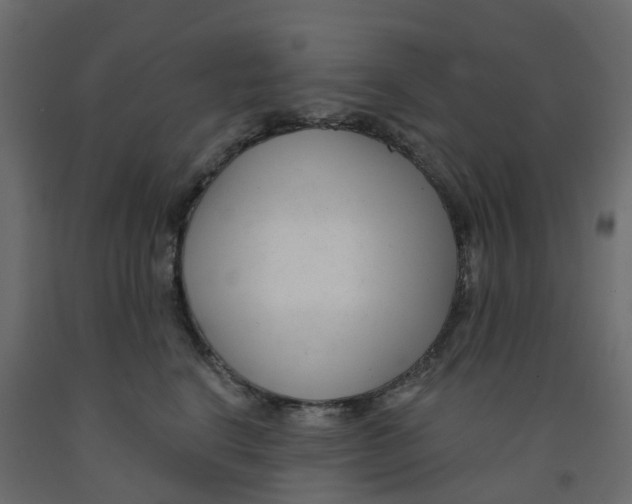 X0000091990664200710041131