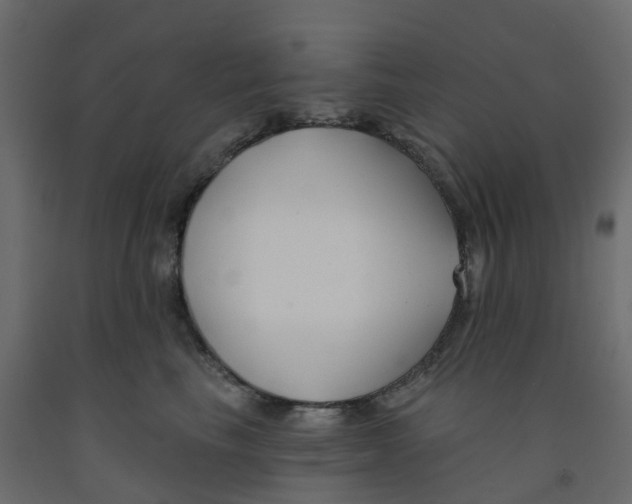 X0000091990665200710041131