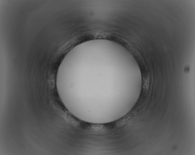 X0000091990666200710041131