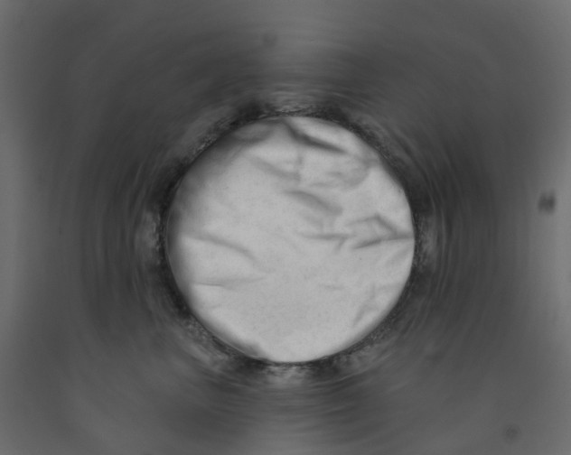 X0000091990667200710041131