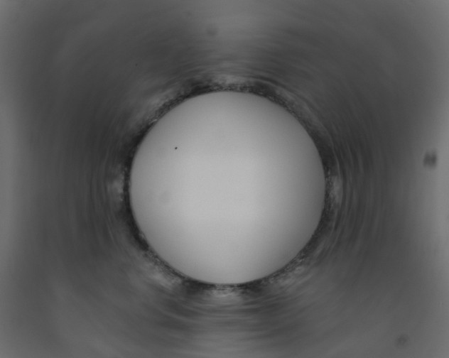 X0000091990668200710041131