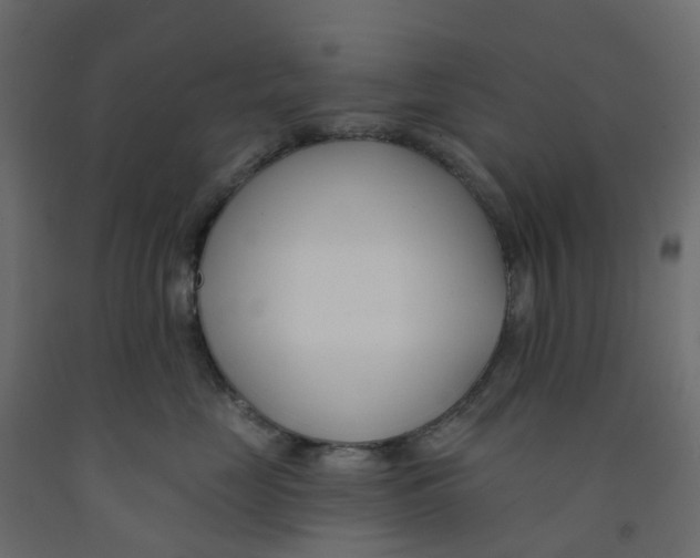 X0000091990669200710041131