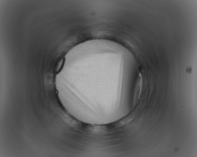 X0000091990670200710041131