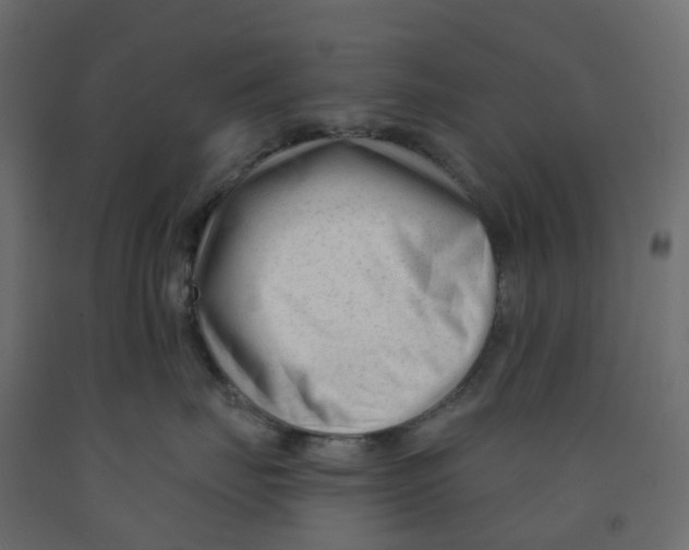 X0000091990671200710041131