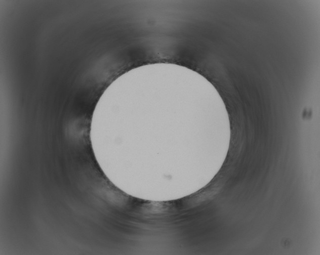 X0000091990672200710041131