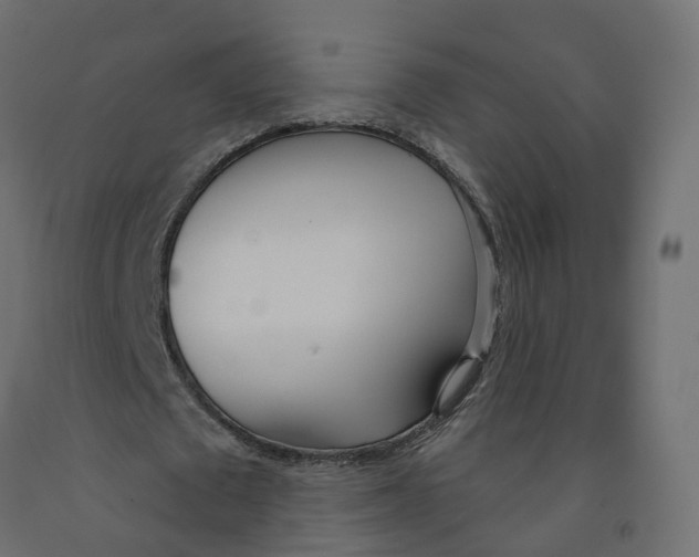 X0000091990673200710041130