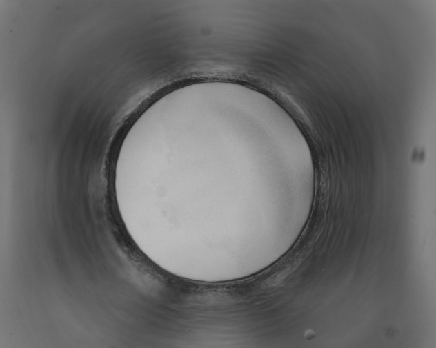 X0000091990674200710041130