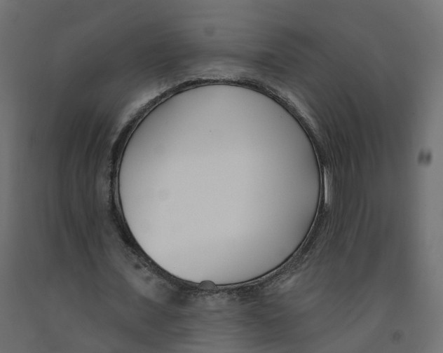 X0000091990675200710041130
