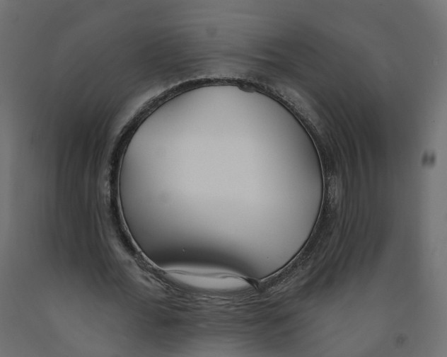 X0000091990676200710041130