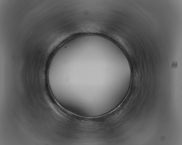 X0000091990677200710041130